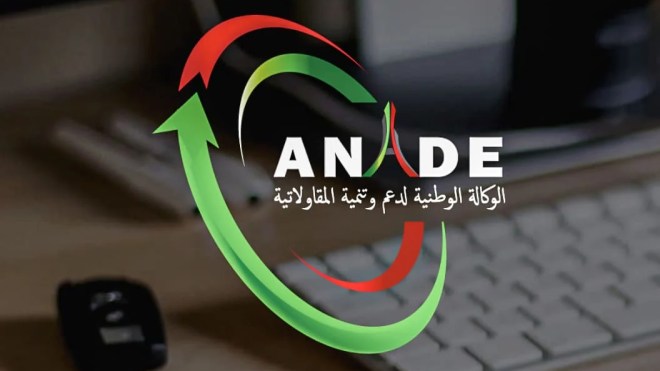 الحكومة تدرس بعث الوكالة الوطنية لدعم وتنمية المقاولاتية