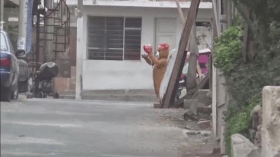 بالفيديو.. ضابط بزي “الدبدوب العاشق” يطيح بتاجرة مخدرات!