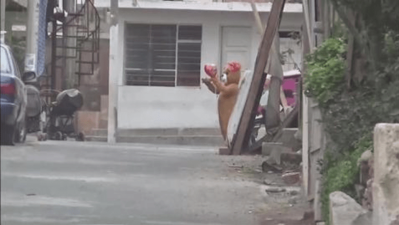 بالفيديو.. ضابط بزي “الدبدوب العاشق” يطيح بتاجرة مخدرات!