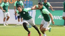 “الفيفا” تختار الجزائر والسعودية محطّتَين تجريبيتَين لِمُبادرة جديدة