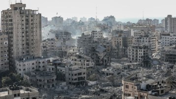 عارُنا في غزة