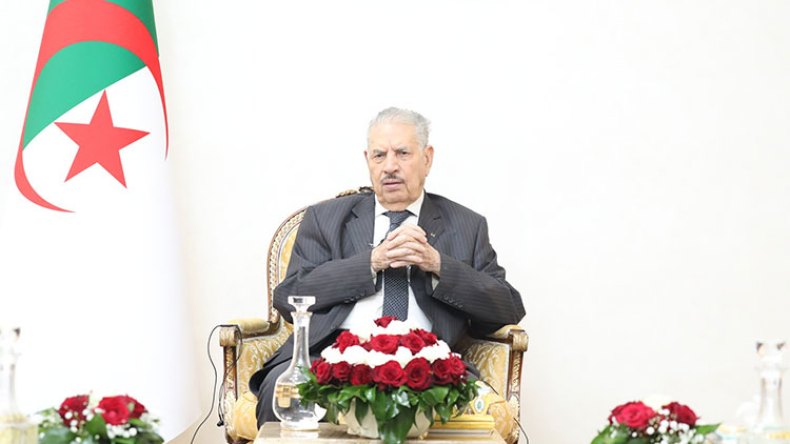 الرئيس تبون يتبنى النهج النوفمبري ويقود الجزائر نحو الوجهة الصحيحة