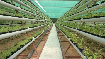 المزارع النموذجية.. أنموذجا