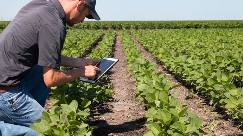 تنظيم مهنة المهندس الزراعي لتحسين الجباية والأمن الغذائي