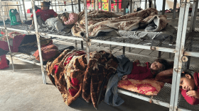 الصهيوني إيدي كوهين يشمت بمعاناة الغزيين.. والرد المفحم يأتيه بصورة مماثلة لأجداده!