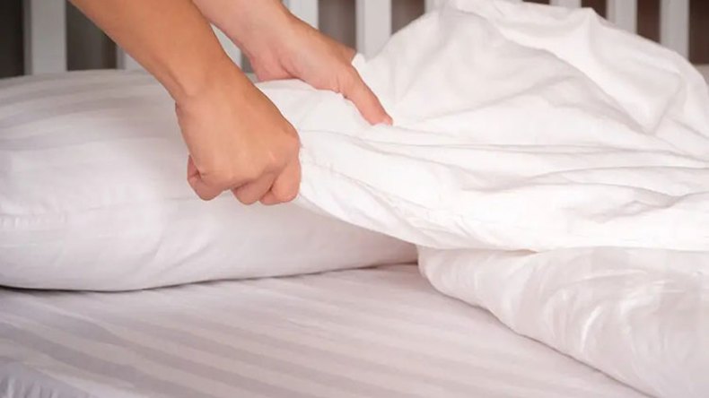 “عثُ الفراش” يسبب حساسية وأمراضا جلدية وتنفسية