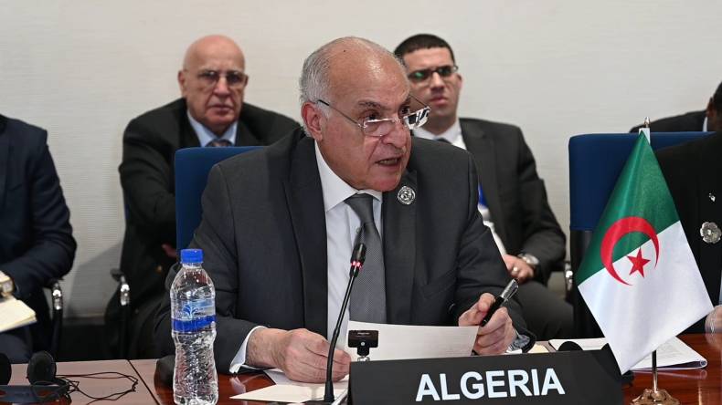 الجزائر تدين ببالغ القوة “مجزرة التابعين”