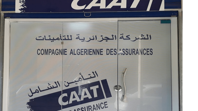 “كات” ترافق أصحاب “ستارتاب” بحلول للتغطية التأمينية