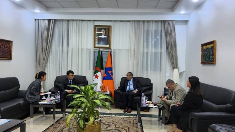 فوج عمل لتطوير التعاون بين سونلغاز وهيونداي للهندسة والإنجاز  