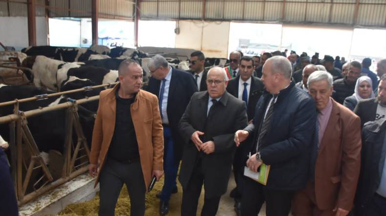 شرفة: الدولة ستواصل جهودها لدعم المنتوج الوطني