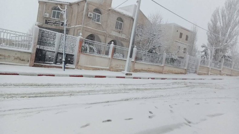 نشرية خاصة: أمطار رعدية غزيرة وثلوج عبر هذه الولايات