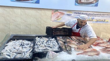 Pêche: Lancement de la vente de la sardine à 500 DA/Kg dans plusieurs wilayas