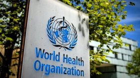 Dix enfants morts de malnutrition dans un hôpital de Ghaza