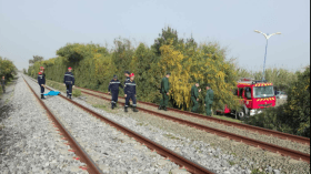 جيجل: وفاة شاب إثر حادث دهس بالقطار