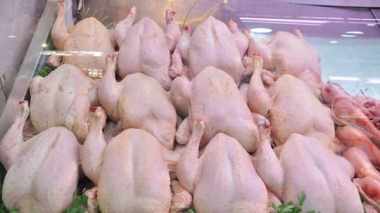 Bientôt 10 000 tonnes de poulets congelés sur le marché