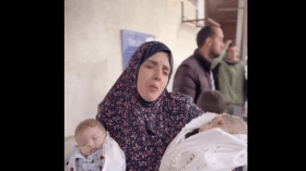 بالفيديو.. الاحتلال يغتال فرحة فلسطينية بتوأمين أنجبتهما بعد 11 عاما من الانتظار