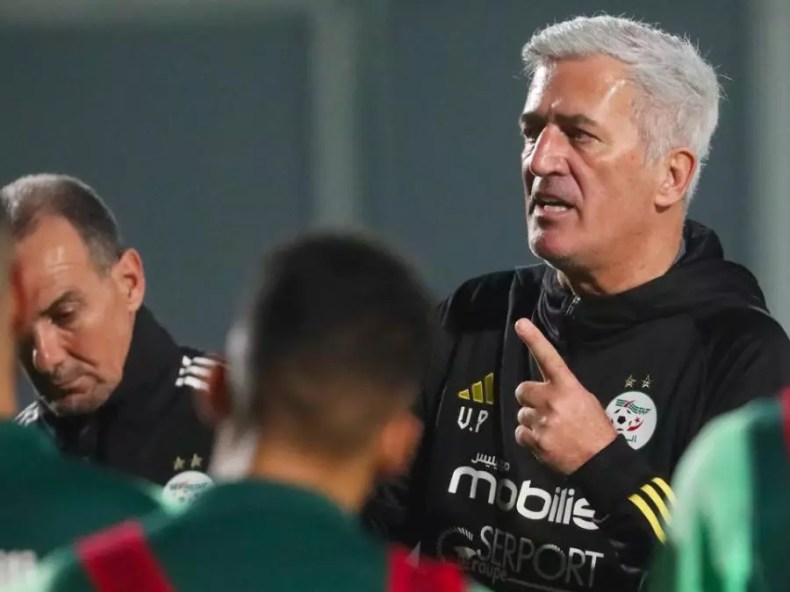 FIFA Series 2024 (Algérie-Afrique du Sud): les “Verts” en quête de confirmation