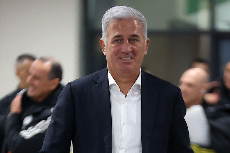 Petkovic Needs to “Invent” a New Defence for the Fennecs