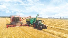 توقّعات بـ40 مليون قنطار من القمح في موسم 2024