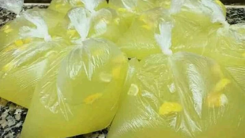 أخبار الجزائر ليوم الأربعاء 13 مارس 2024