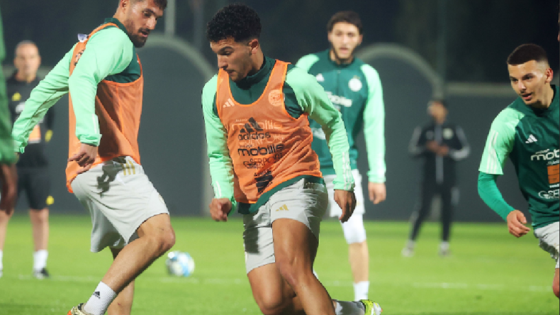 ما الذي سيضر المنتخب الجزائري لو يقاطع كأس إفريقيا؟