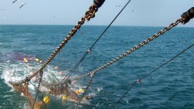 المغرب يبحث مخارج نجدة بعد اليأس من اتفاقية الصيد مع الأوروبيين