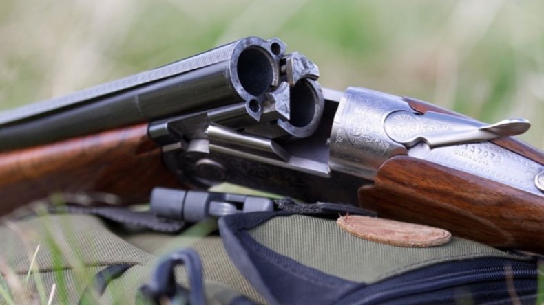 وحدها فوهة البندقيّة من يحرّك التّأْريخ