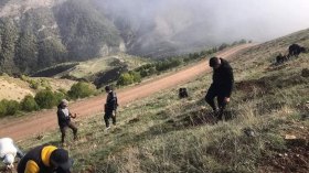 أطفال يبيعون ما جاد به ربيع 2024 على حواف الطرقات