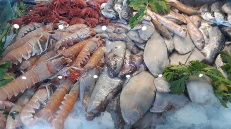 أسماك بني صاف تستقطب قوافل الصائمين