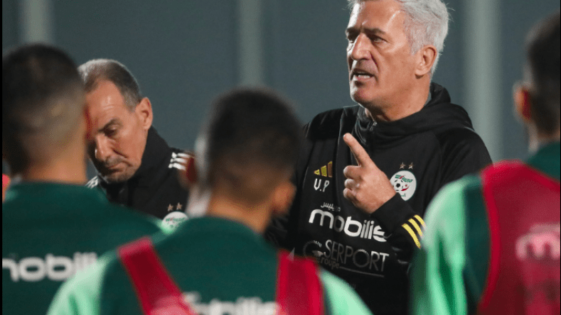 بيتكوفيتش يدخل غمار تصفيات المونديال.. ويُكلف مساعديه بتقارير عن المنافسين