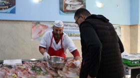 بيع مباشر لمنتجات الصيد البحري عبر 174 نقطة