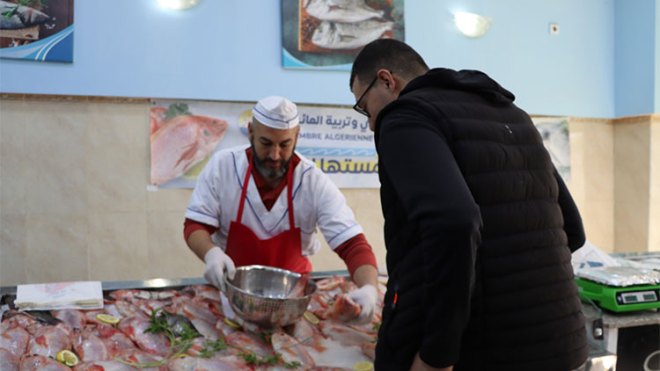 بيع مباشر لمنتجات الصيد البحري عبر 174 نقطة