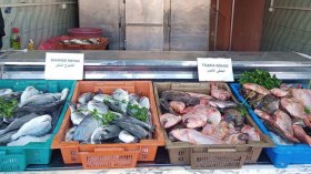 15 نقطة لبيع أسماك تربية المائيات خلال رمضان بالعاصمة