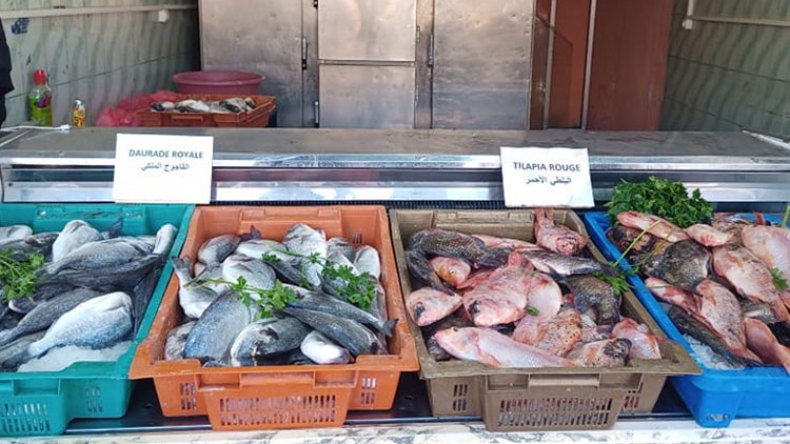 15 نقطة لبيع أسماك تربية المائيات خلال رمضان بالعاصمة