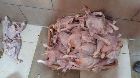 أخبار الجزائر ليوم السبت 09 مارس 2024