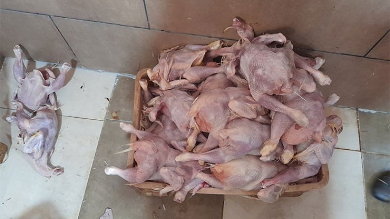 أخبار الجزائر ليوم السبت 09 مارس 2024