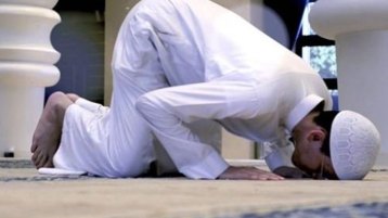 موسم الصّيد!