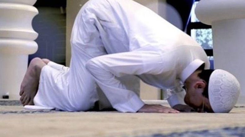 موسم الصّيد!