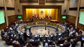 الجامعة العربية تثمّن جهود الجزائر من أجل وقف إطلاق النار في غزة