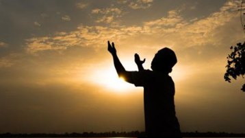 توبة الثعالب!