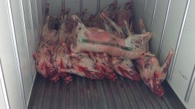 تلف 70 طن من اللحوم المستوردة.. بسبب كوابل الكهرباء!