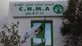 تقلبات جوية.. بدء صرف منحة للفلاحين المتضررين عبر 7 ولايات  