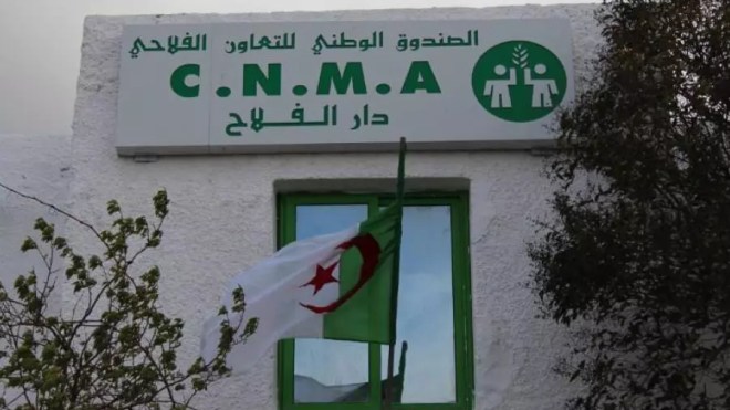 تقلبات جوية.. بدء صرف منحة للفلاحين المتضررين عبر 7 ولايات  
