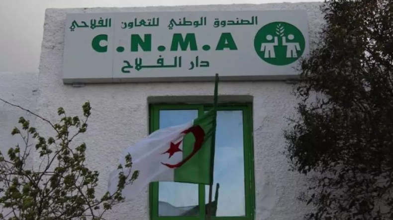 تقلبات جوية.. بدء صرف منحة للفلاحين المتضررين عبر 7 ولايات  