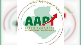 هذا عدد مشاريع الإستثمار الأجنبي في الجزائر منذ نوفمبر 2022