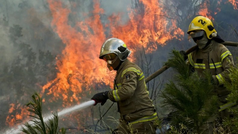 مندوب المخاطر الكبرى في وزارة الداخلية: الجزائر معرضة لـ 18 خطرا طبيعيا