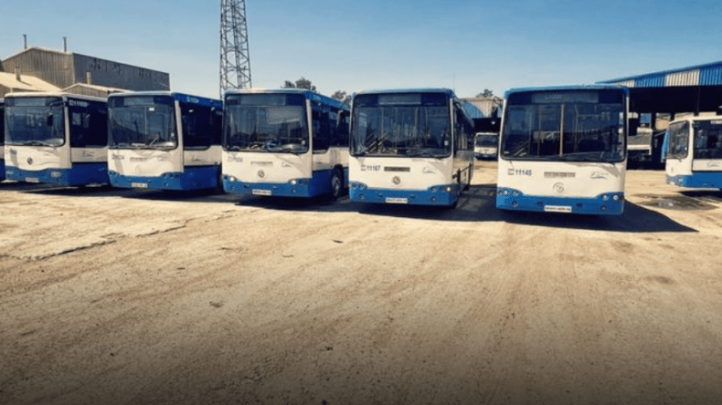 برنامج خاص لنقل المصلّين لأداء صلاة العيد في جامع الجزائر