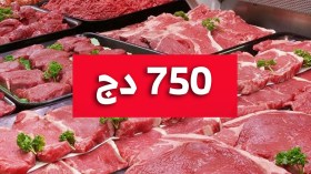 عملية تمويل السوق باللحوم المستوردة مستمرة.. الأسعار تتهاوى
