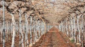 هذا موعد إطلاق ثالث إحصاء عام للفلاحة في تاريخ الجزائر