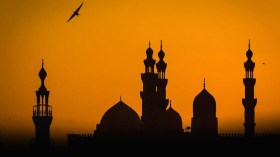 الإسلام يحارب الأنجاس ولا يحارب الأجناس